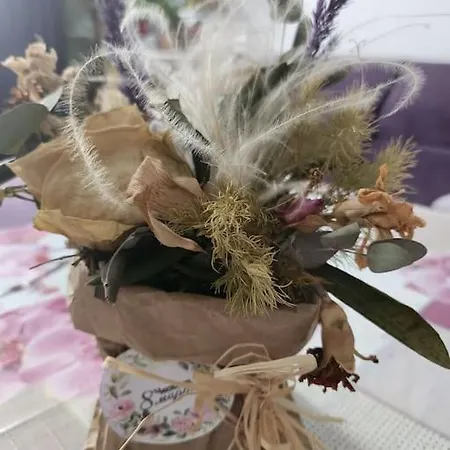 Appartement Modern Apartment. Best Location *