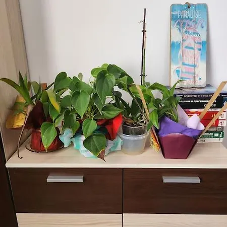 Modern Apartment. Best Location * Sofia