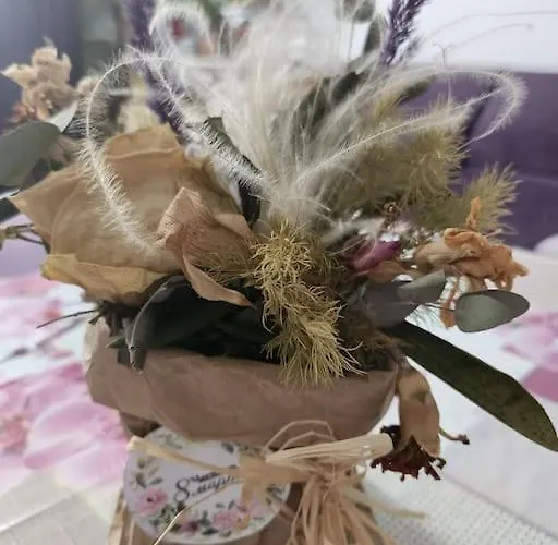 Apartamento Modern Apartment. Best Location *