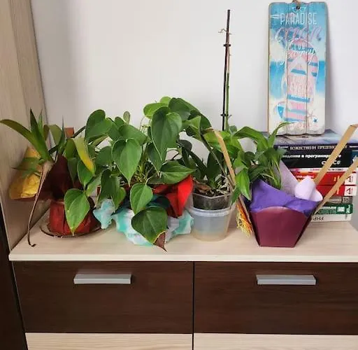 Modern Apartment. Best Location * София